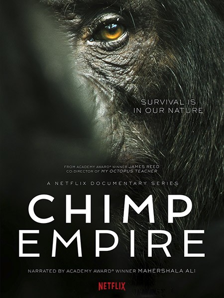 Империя шимпанзе / Chimp Empire (1 сезон/2023/WEB-DL/WEB-DLRip)